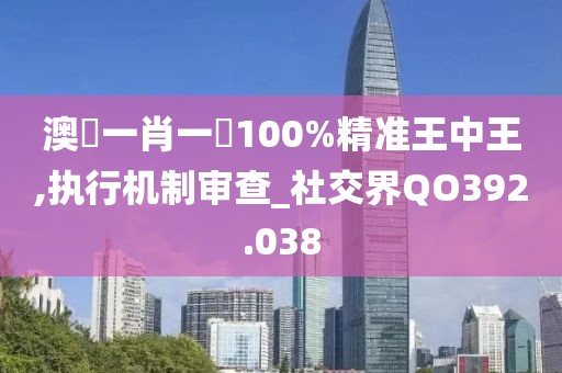 澳門一肖一碼100%精准王中王,执行机制审查_社交界QO392.038