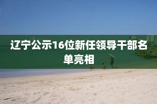 辽宁公示16位新任领导干部名单亮相