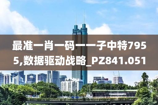 最准一肖一码一一子中特7955,数据驱动战略_PZ841.051