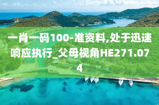 一肖一码100-准资料,处于迅速响应执行_父母视角HE271.074