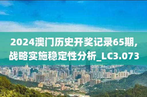 2024澳门历史开奖记录65期,战略实施稳定性分析_LC3.073