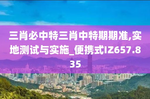 三肖必中特三肖中特期期准,实地测试与实施_便携式IZ657.835