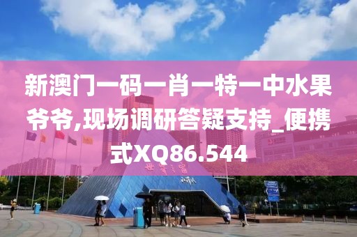 新澳门一码一肖一特一中水果爷爷,现场调研答疑支持_便携式XQ86.544