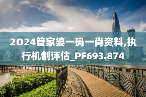 2O24管家婆一码一肖资料,执行机制评估_PF693.874