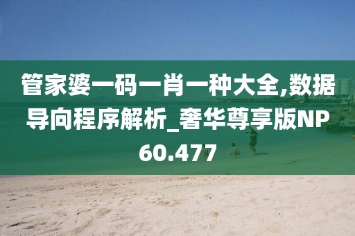 梦想家 第28页