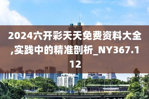 2024六开彩天天免费资料大全,实践中的精准剖析_NY367.112