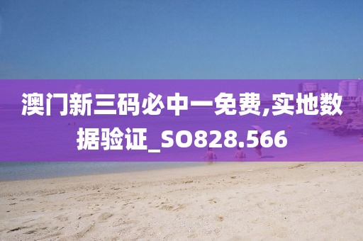 澳门新三码必中一免费,实地数据验证_SO828.566