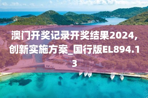 澳门开奖记录开奖结果2024,创新实施方案_国行版EL894.13