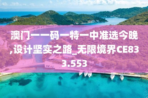 澳门一一码一特一中准选今晚,设计坚实之路_无限境界CE833.553