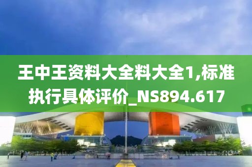 王中王资料大全料大全1,标准执行具体评价_NS894.617