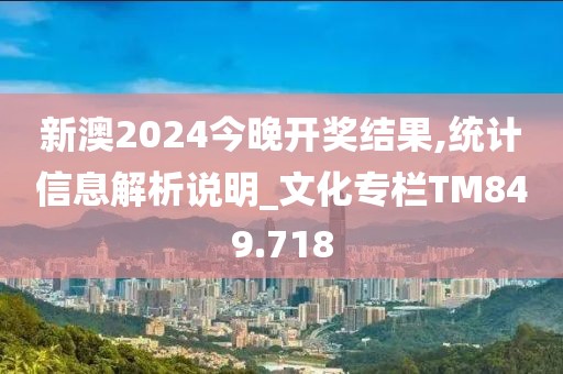 新澳2024今晚开奖结果,统计信息解析说明_文化专栏TM849.718