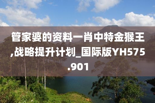 管家婆的资料一肖中特金猴王,战略提升计划_国际版YH575.901