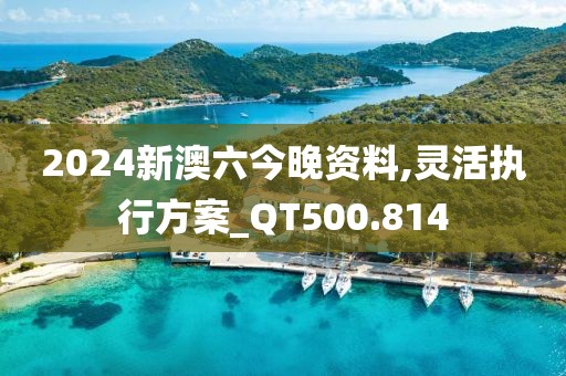 2024新澳六今晚资料,灵活执行方案_QT500.814