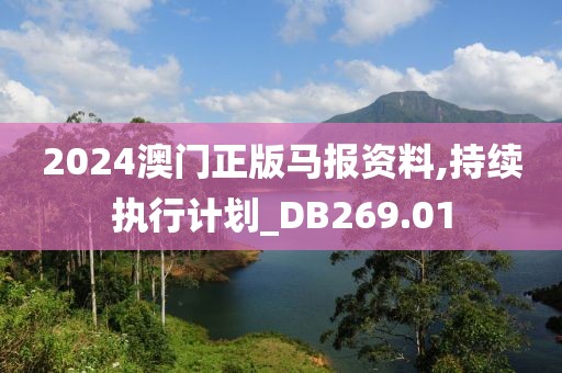 2024澳门正版马报资料,持续执行计划_DB269.01