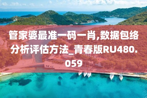 管家婆最准一码一肖,数据包络分析评估方法_青春版RU480.059