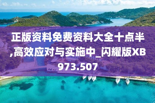 正版资料免费资料大全十点半,高效应对与实施中_闪耀版XB973.507
