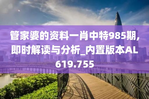 管家婆的资料一肖中特985期,即时解读与分析_内置版本AL619.755