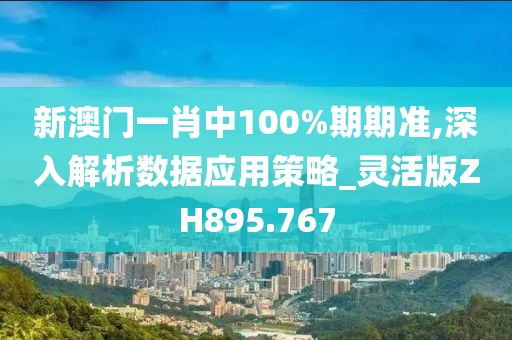 新澳门一肖中100%期期准,深入解析数据应用策略_灵活版ZH895.767