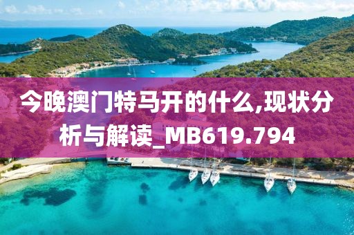 今晚澳门特马开的什么,现状分析与解读_MB619.794