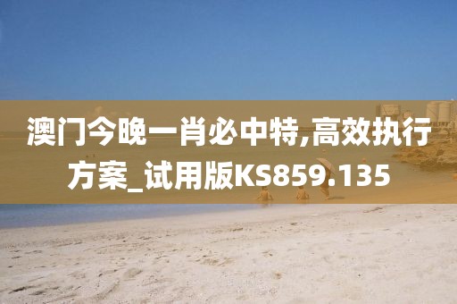 澳门今晚一肖必中特,高效执行方案_试用版KS859.135