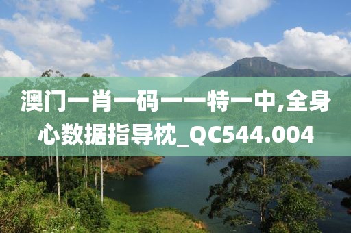 澳门一肖一码一一特一中,全身心数据指导枕_QC544.004