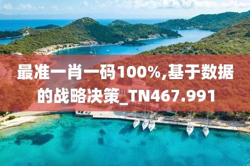 最准一肖一码100%,基于数据的战略决策_TN467.991