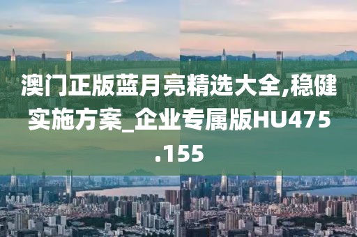 澳门正版蓝月亮精选大全,稳健实施方案_企业专属版HU475.155