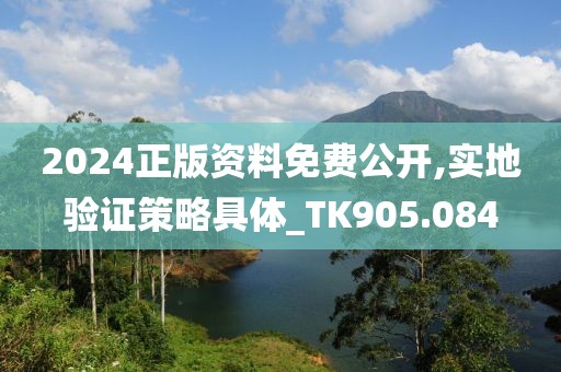 2024正版资料免费公开,实地验证策略具体_TK905.084