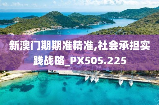 新澳门期期准精准,社会承担实践战略_PX505.225
