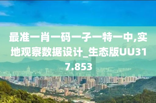 最准一肖一码一孑一特一中,实地观察数据设计_生态版UU317.853