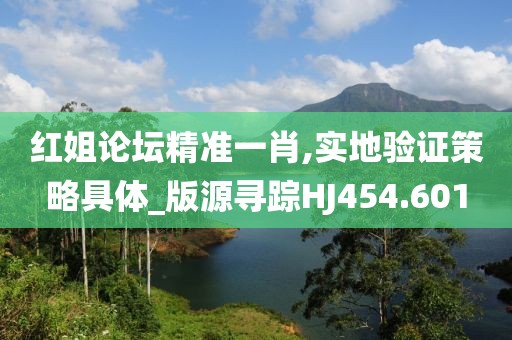 红姐论坛精准一肖,实地验证策略具体_版源寻踪HJ454.601