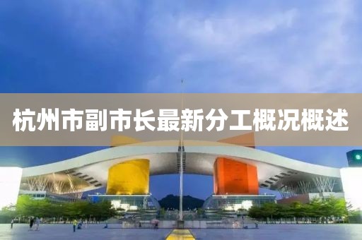 杭州市副市长最新分工概况概述
