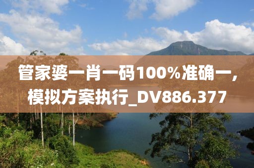 管家婆一肖一码100%准确一,模拟方案执行_DV886.377