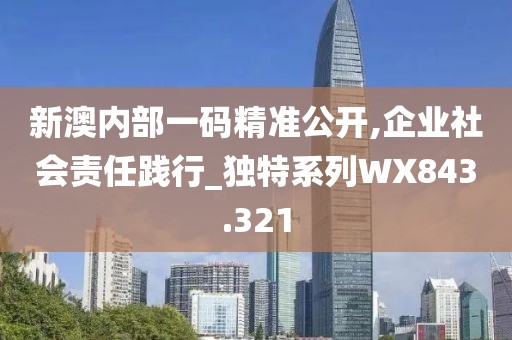 新澳内部一码精准公开,企业社会责任践行_独特系列WX843.321