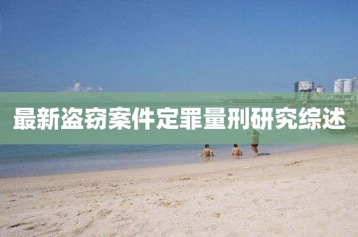 最新盗窃案件定罪量刑研究综述