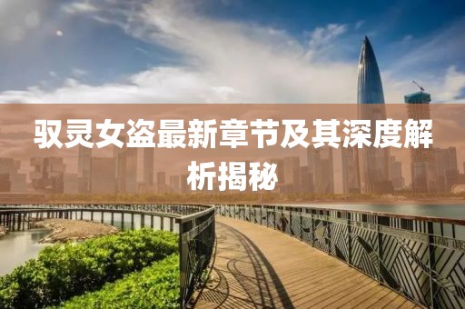 驭灵女盗最新章节及其深度解析揭秘