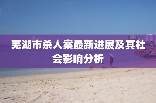 芜湖市杀人案最新进展及其社会影响分析
