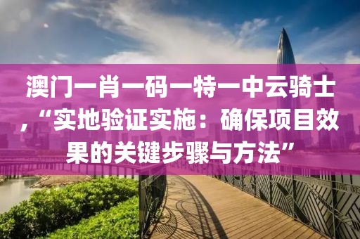 澳门一肖一码一特一中云骑士,“实地验证实施：确保项目效果的关键步骤与方法”