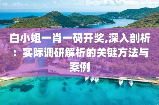 白小姐一肖一码开奖,深入剖析：实际调研解析的关键方法与案例