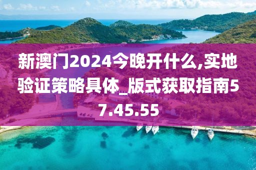 新澳门2024今晚开什么,实地验证策略具体_版式获取指南57.45.55