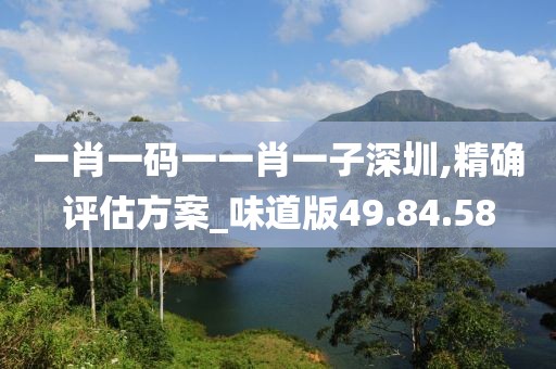 一肖一码一一肖一子深圳,精确评估方案_味道版49.84.58