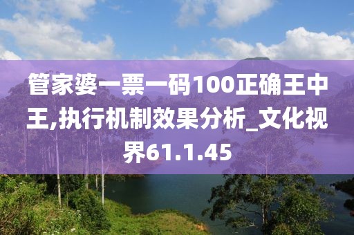 管家婆一票一码100正确王中王,执行机制效果分析_文化视界61.1.45