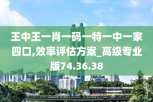 王中王一肖一码一特一中一家四口,效率评估方案_高级专业版74.36.38