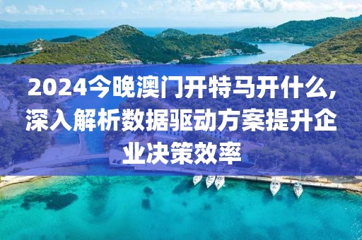2024今晚澳门开特马开什么,深入解析数据驱动方案提升企业决策效率