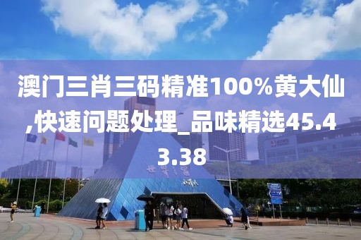 澳门三肖三码精准100%黄大仙,快速问题处理_品味精选45.43.38