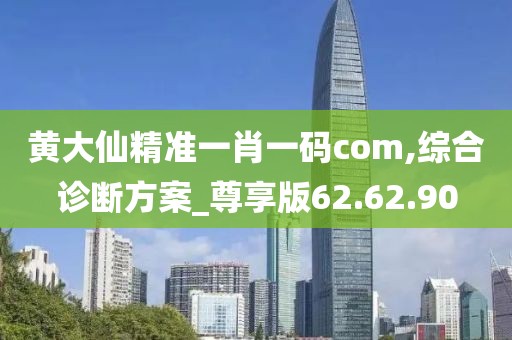 黄大仙精准一肖一码com,综合诊断方案_尊享版62.62.90
