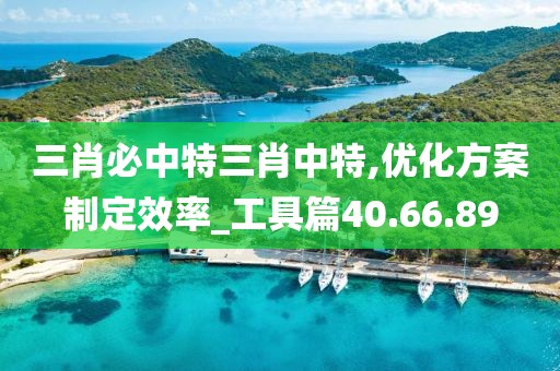 三肖必中特三肖中特,优化方案制定效率_工具篇40.66.89