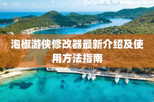 泡椒游侠修改器最新介绍及使用方法指南