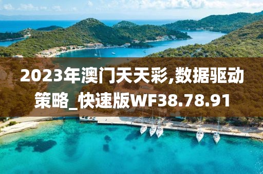 2023年澳门天天彩,数据驱动策略_快速版WF38.78.91