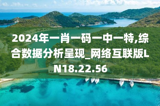 2024年一肖一码一中一特,综合数据分析呈现_网络互联版LN18.22.56